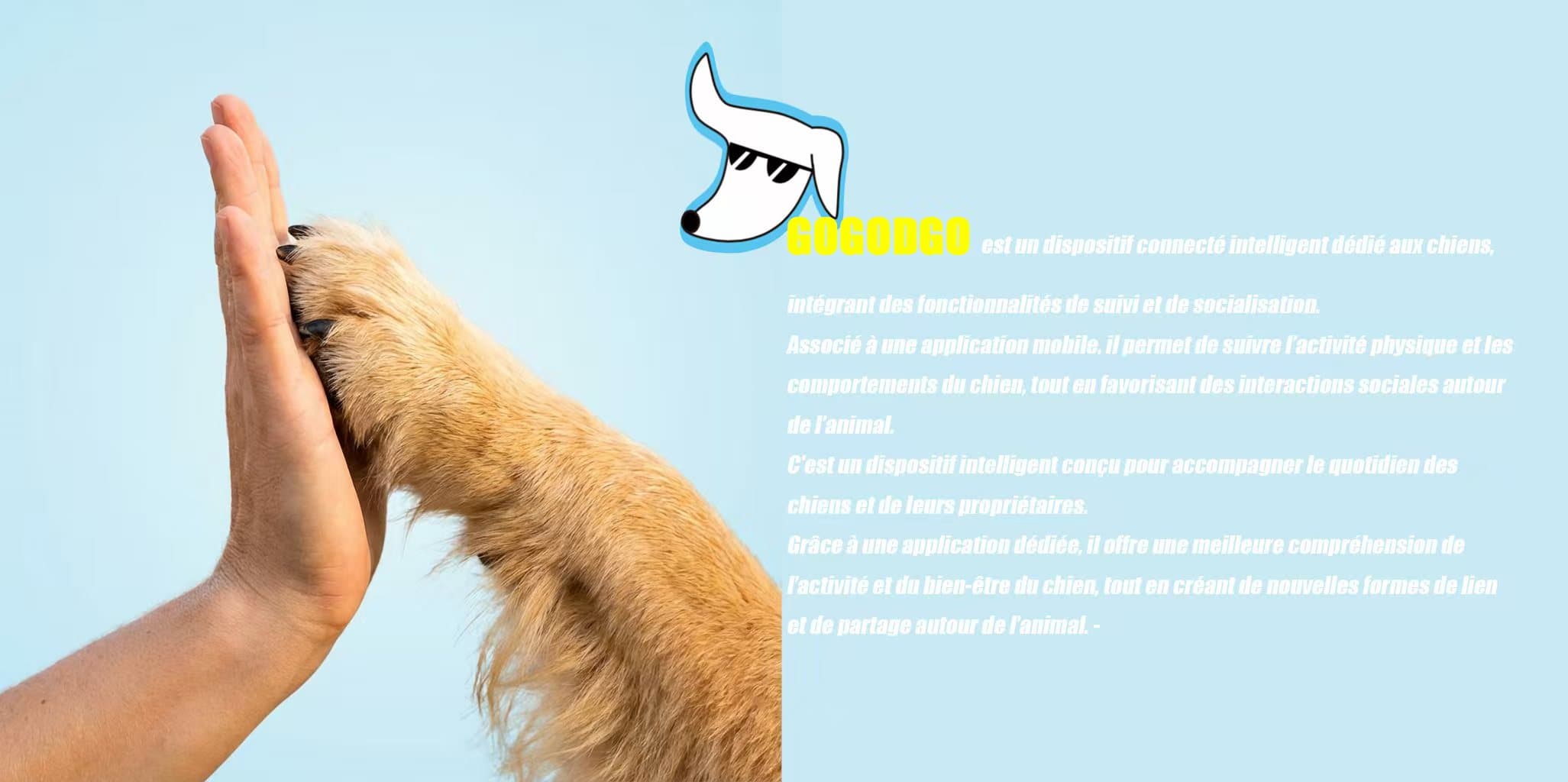 Présentation GOGODGO